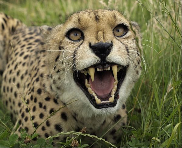 ο Δημήτρης Ευθυμάκης